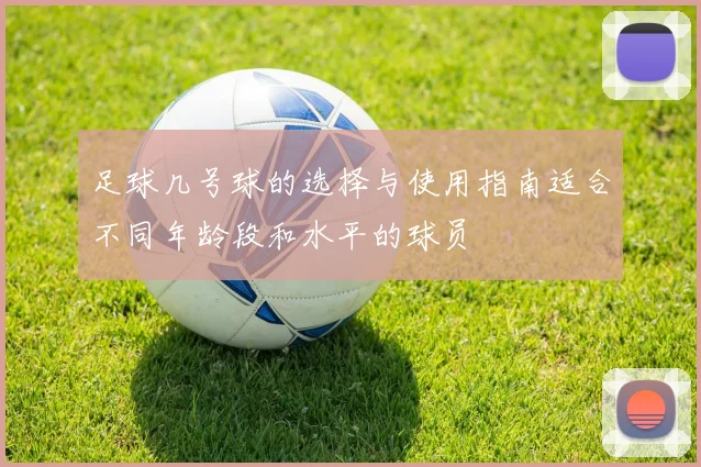 足球几号球的选择与使用指南适合不同年龄段和水平的球员