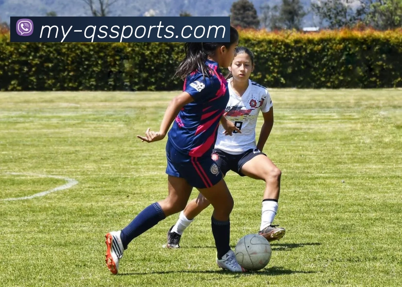 球速体育服务体系